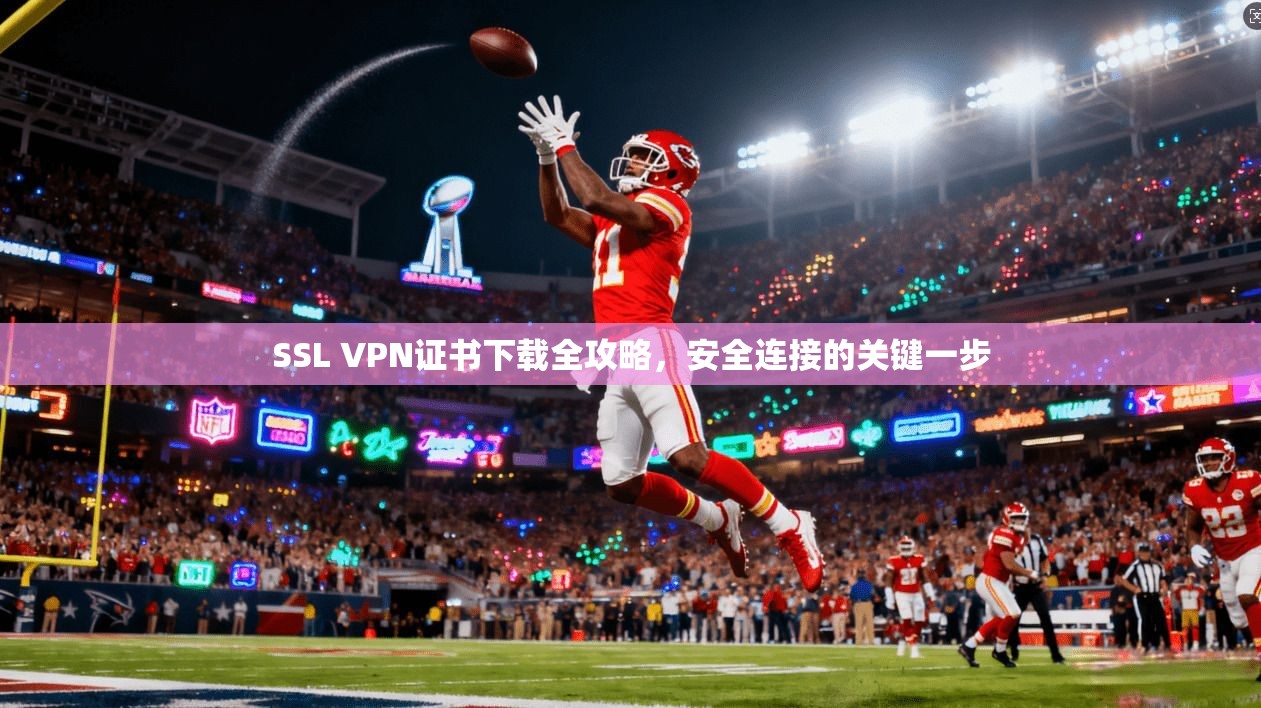 SSL VPN证书下载全攻略，安全连接的关键一步