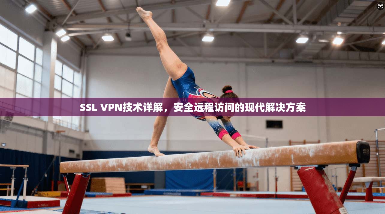 SSL VPN技术详解，安全远程访问的现代解决方案