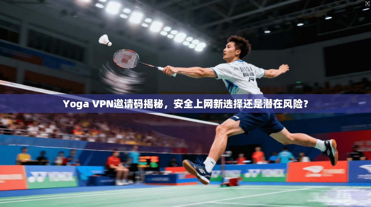 Yoga VPN邀请码揭秘，安全上网新选择还是潜在风险？