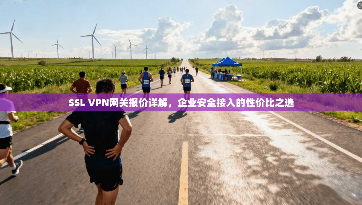 SSL VPN网关报价详解，企业安全接入的性价比之选