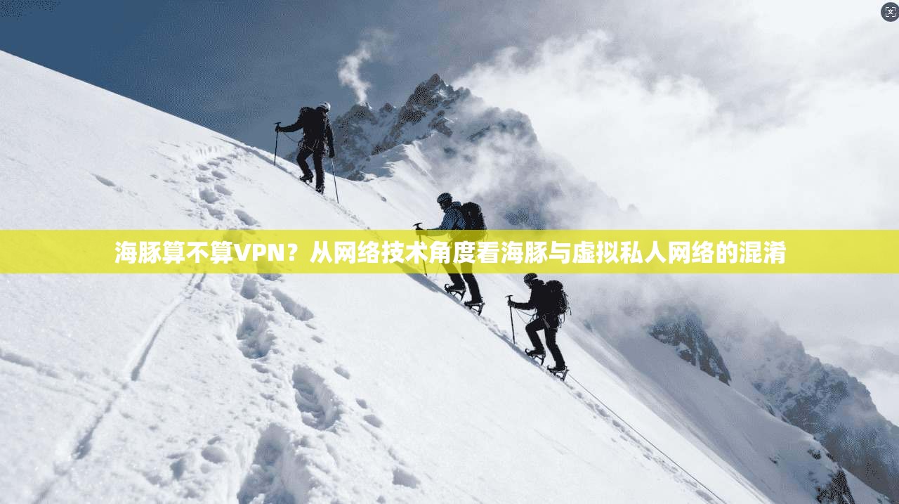 海豚算不算VPN？从网络技术角度看海豚与虚拟私人网络的混淆
