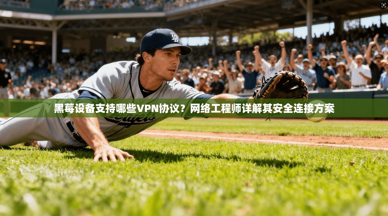 黑莓设备支持哪些VPN协议？网络工程师详解其安全连接方案