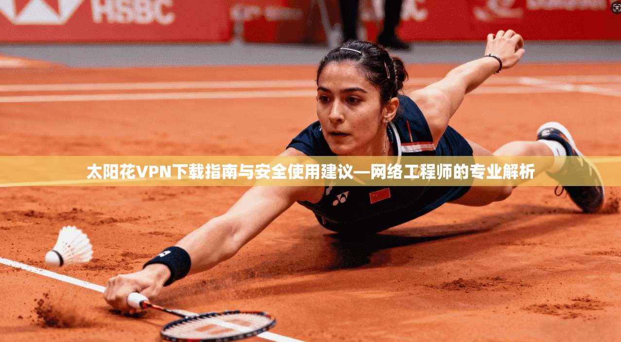 太阳花VPN下载指南与安全使用建议—网络工程师的专业解析