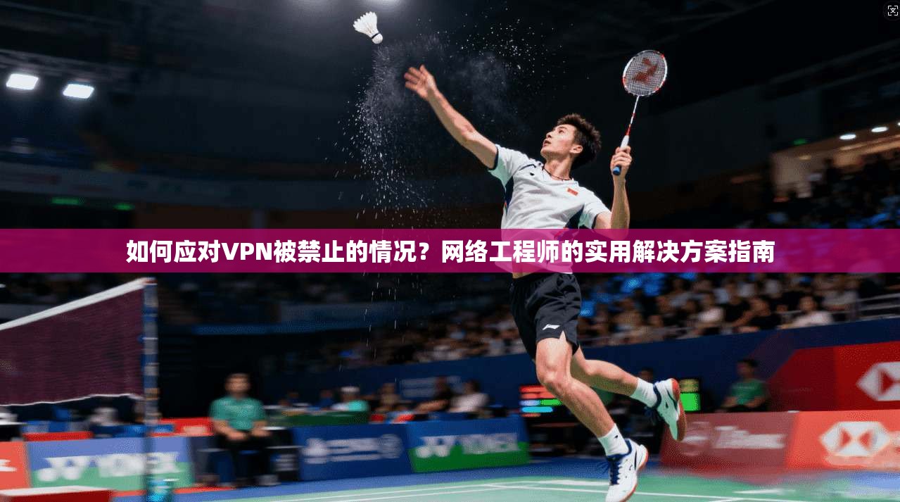 如何应对VPN被禁止的情况？网络工程师的实用解决方案指南