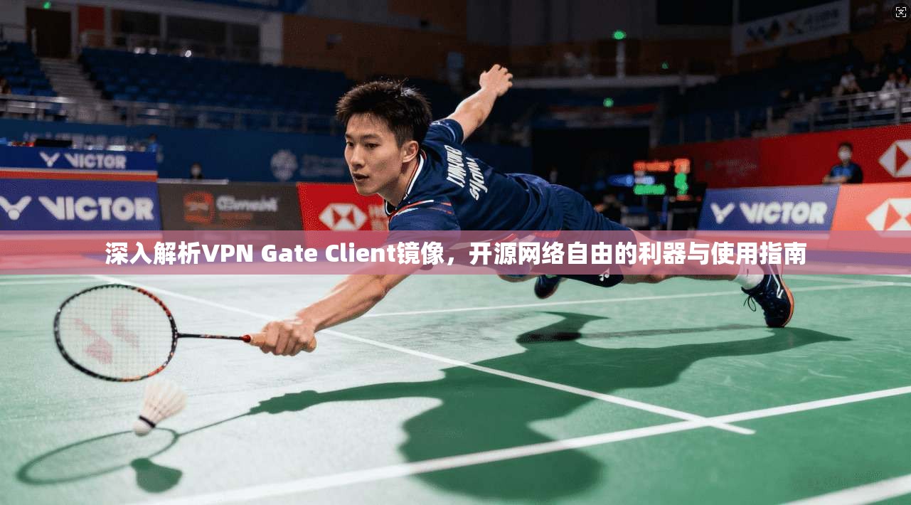 深入解析VPN Gate Client镜像,开源网络自由的利器与使用指南 深入解析VPN Gate Client镜像,开源网络自由的利器与使用指南