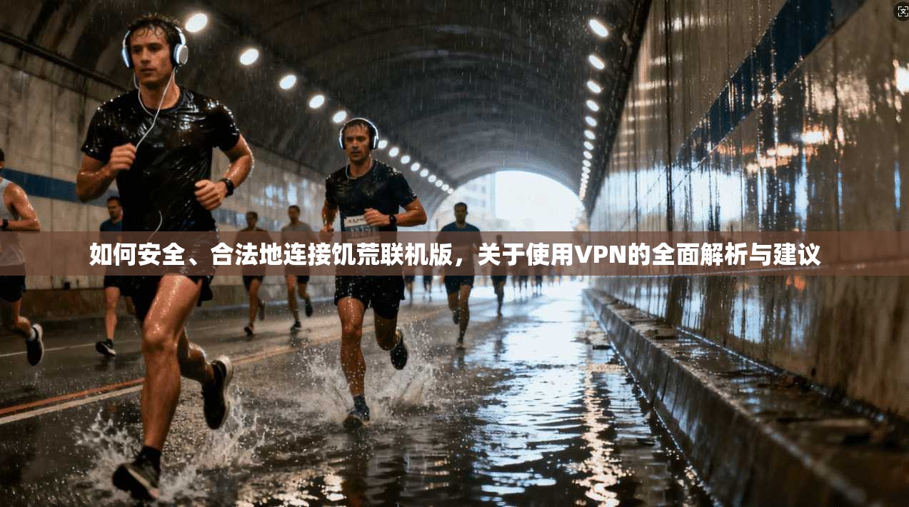 如何安全、合法地连接饥荒联机版，关于使用VPN的全面解析与建议