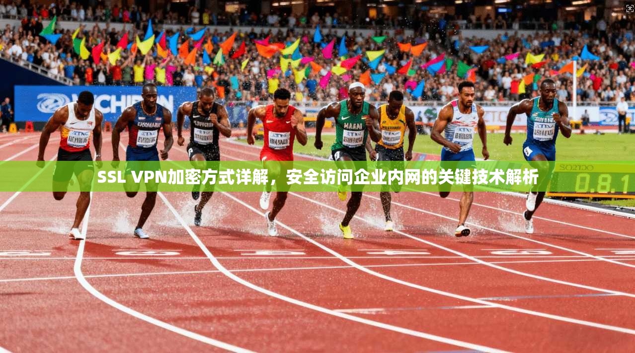 SSL VPN加密方式详解，安全访问企业内网的关键技术解析