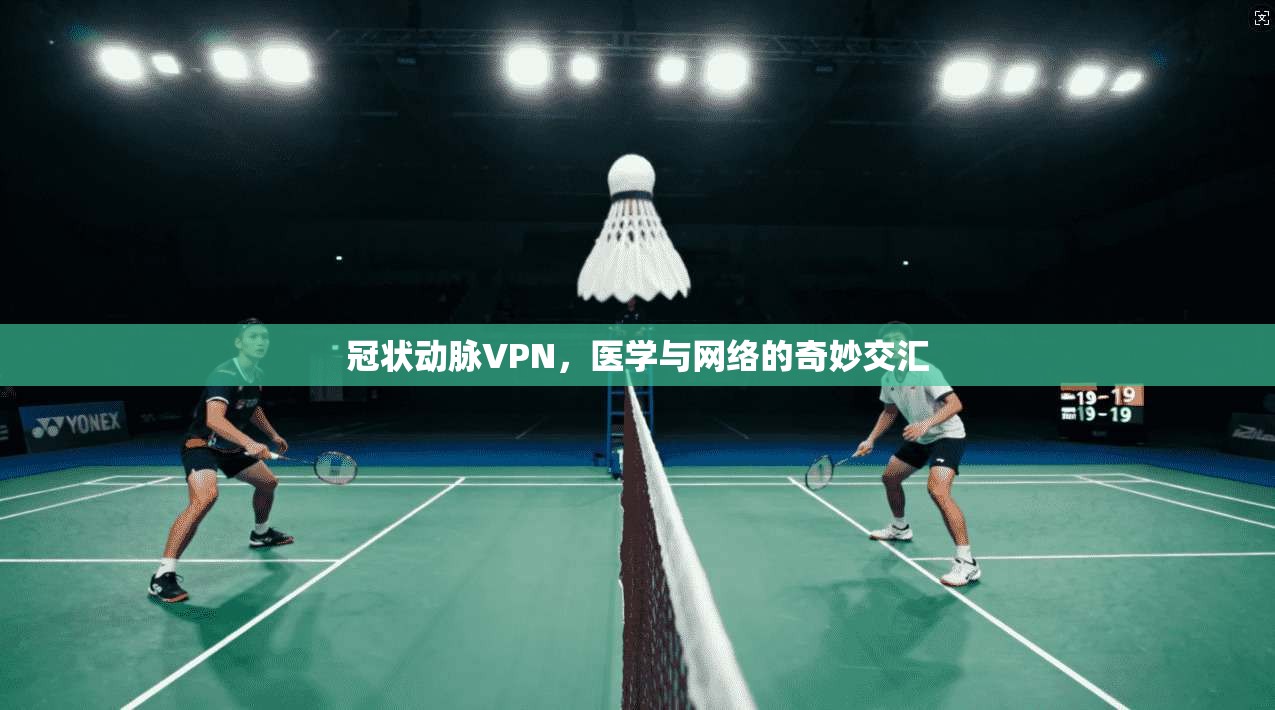 冠状动脉VPN,医学与网络的奇妙交汇 冠状动脉VPN,医学与网络的奇妙交汇