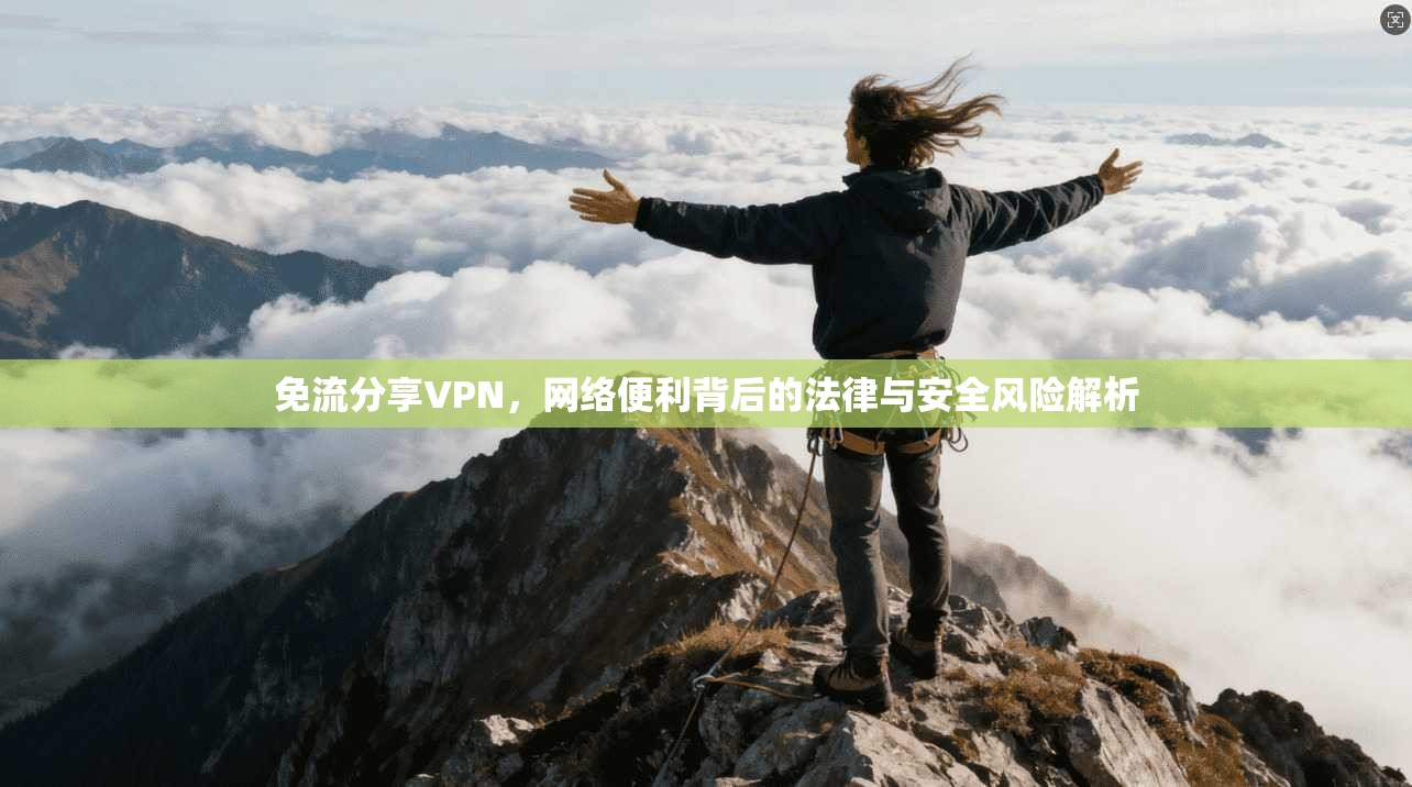 免流分享VPN,网络便利背后的法律与安全风险解析 免流分享VPN,网络便利背后的法律与安全风险解析