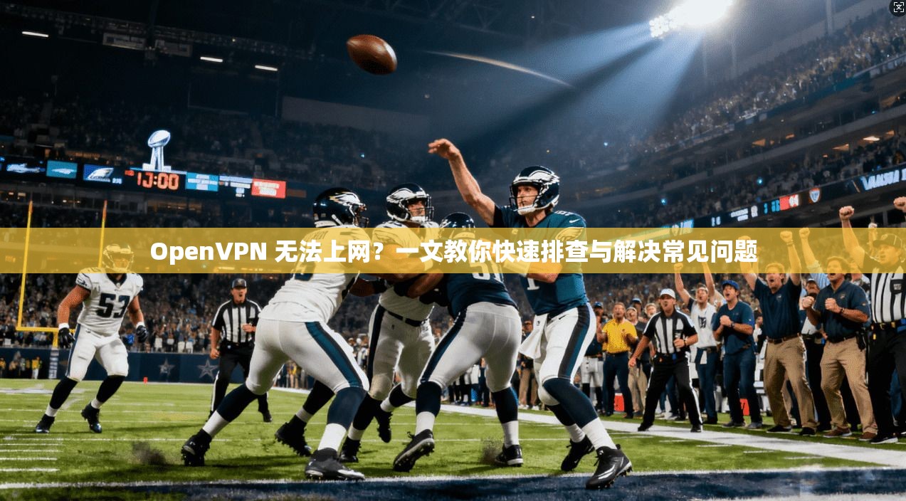 OpenVPN 无法上网？一文教你快速排查与解决常见问题