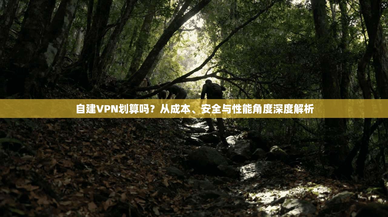 自建VPN划算吗？从成本、安全与性能角度深度解析