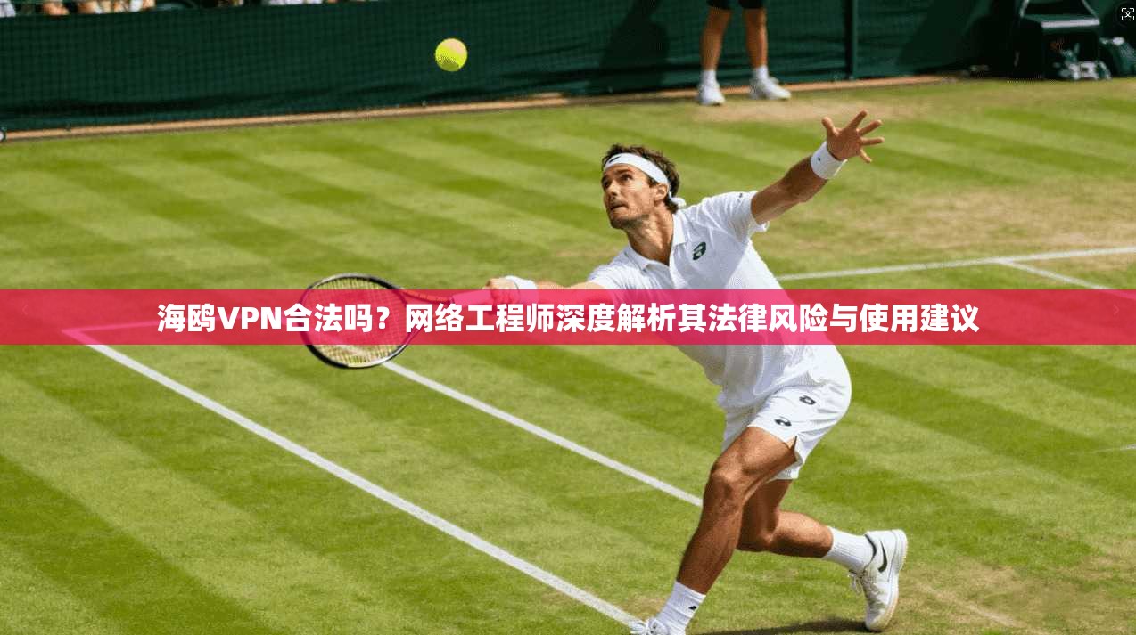 海鸥VPN合法吗?网络工程师深度解析其法律风险与使用建议 海鸥VPN合法吗?网络工程师深度解析其法律风险与使用建议
