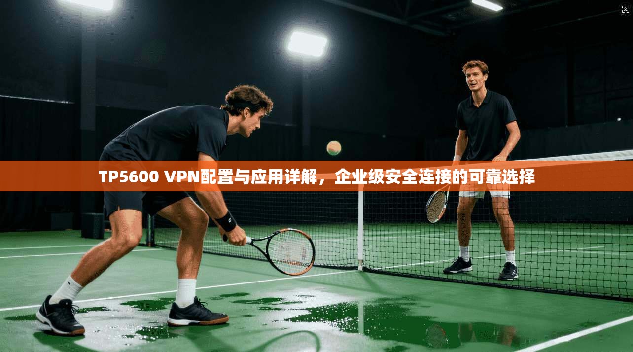 TP5600 VPN配置与应用详解，企业级安全连接的可靠选择