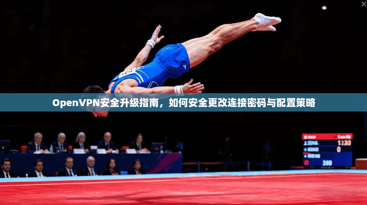 OpenVPN安全升级指南，如何安全更改连接密码与配置策略