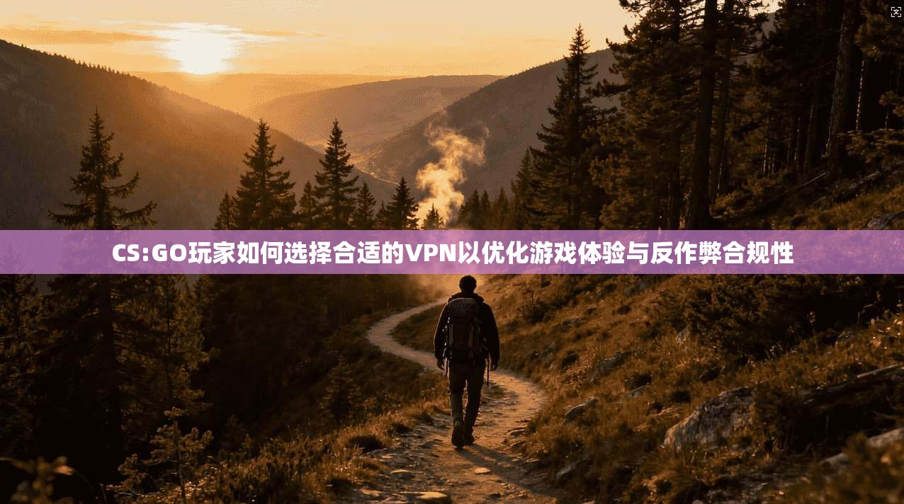 CS:GO玩家如何选择合适的VPN以优化游戏体验与反作弊合规性
