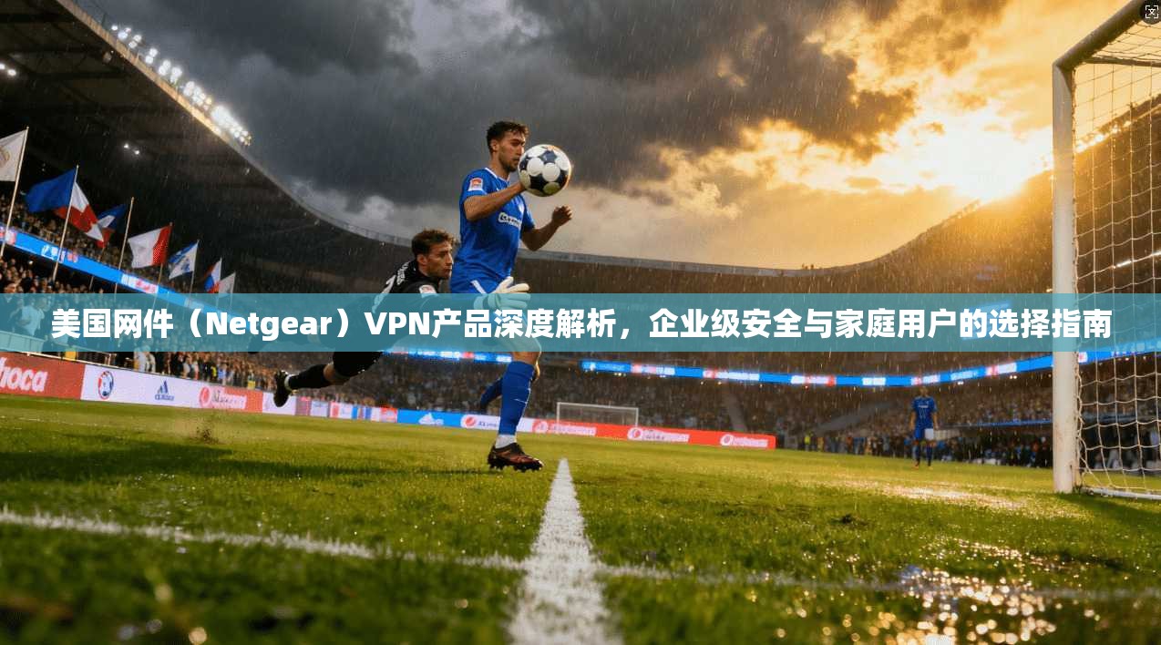 美国网件（Netgear）VPN产品深度解析，企业级安全与家庭用户的选择指南