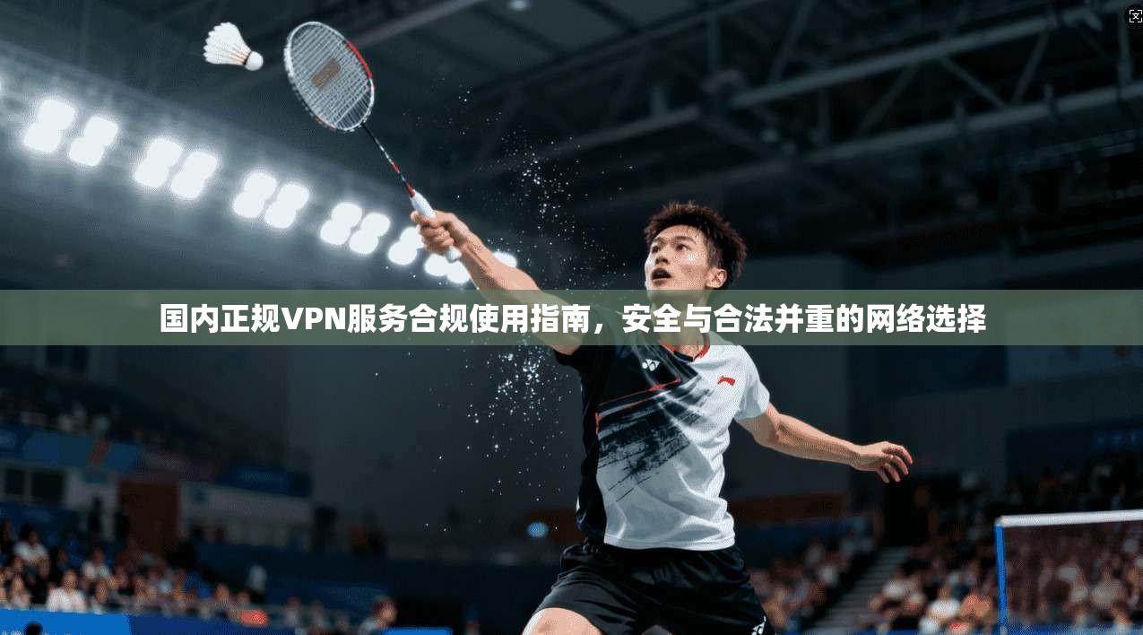 国内正规VPN服务合规使用指南，安全与合法并重的网络选择