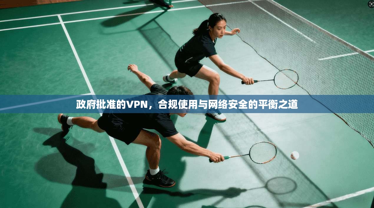 政府批准的VPN，合规使用与网络安全的平衡之道