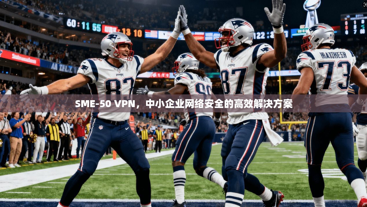 SME-50 VPN,中小企业网络安全的高效解决方案 SME-50 VPN,中小企业网络安全的高效解决方案