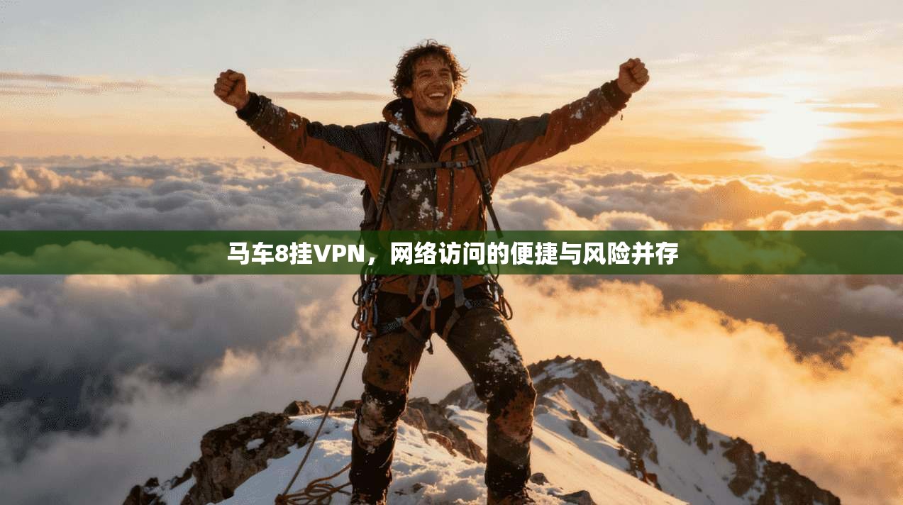 马车8挂VPN，网络访问的便捷与风险并存