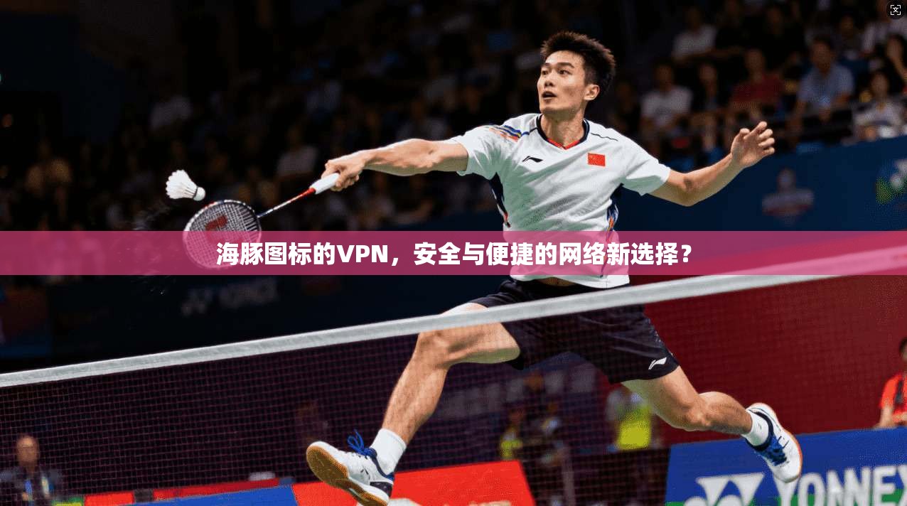 海豚图标的VPN，安全与便捷的网络新选择？