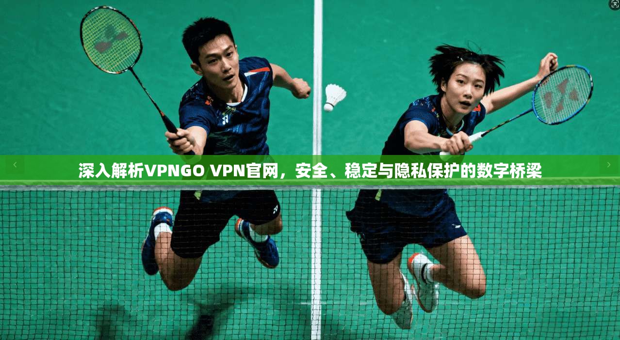深入解析VPNGO VPN官网,安全、稳定与隐私保护的数字桥梁 深入解析VPNGO VPN官网,安全、稳定与隐私保护的数字桥梁