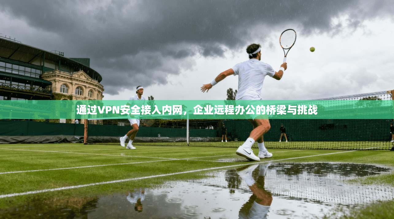 通过VPN安全接入内网,企业远程办公的桥梁与挑战 通过VPN安全接入内网,企业远程办公的桥梁与挑战