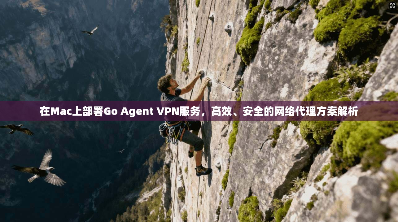 在Mac上部署Go Agent VPN服务,高效、安全的网络代理方案解析 在Mac上部署Go Agent VPN服务,高效、安全的网络代理方案解析