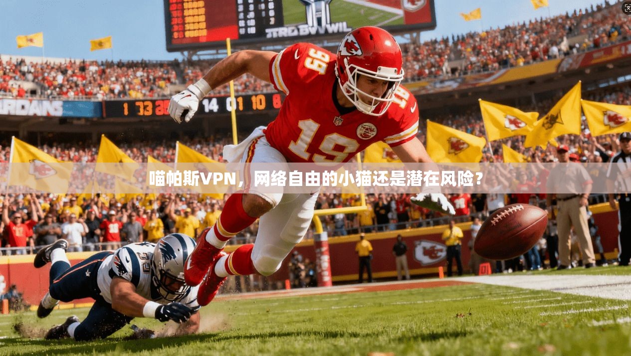 喵帕斯VPN,网络自由的小猫还是潜在风险?