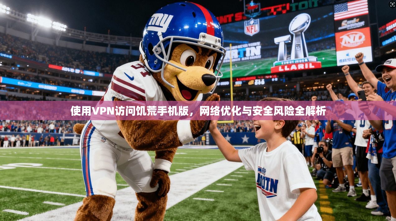 使用VPN访问饥荒手机版,网络优化与安全风险全解析